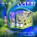 Bang Beach 22000 Disposable Vape Wholesale